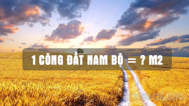 1 công Nam Bộ bằng 1.000m2