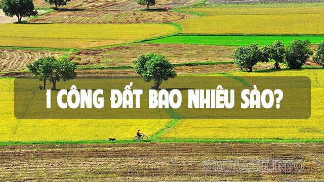 1 công đất bằng 1 sào