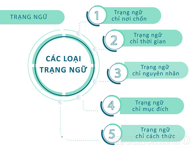 5-loai-trang-ngu-chinh