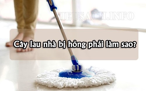 Bạn đã tìm được địa chỉ sửa cây lau nhà chất lượng chưa?