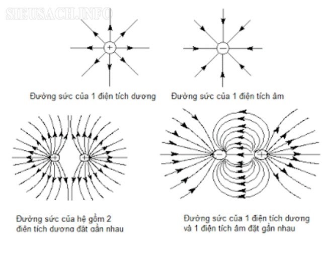 Đường sức điện có đặc điểm như thế nào?