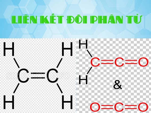 Các nguyên tử chia sẻ cặp electron với nhau trong liên kết đơn