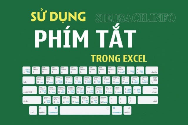 Các  phím tắt trong Excel 2010, 2013