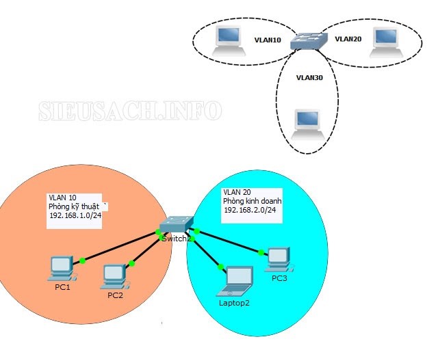 Có những loại VLAN nào?