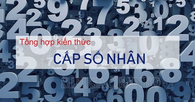 Cấp số nhân là gì?