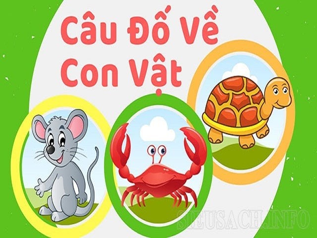 Câu đố về con vật hay 