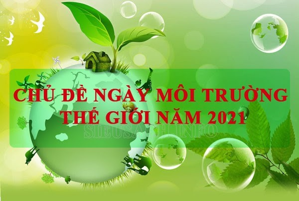 Chủ đề ngày môi trường thế giới năm 2021 là gì?