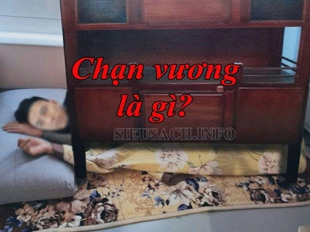 Chạn vương là gì?