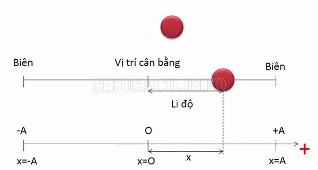 Đồ thị biểu thị gia tốc trong dao động điều hòa