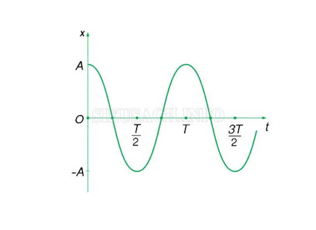 Đồ thị dao động điều hòa