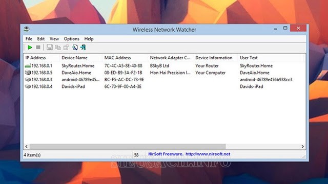 Giao diện Wireless Network Watcher