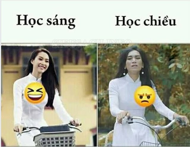 Hình ảnh của meme gắn với triggered hài hước