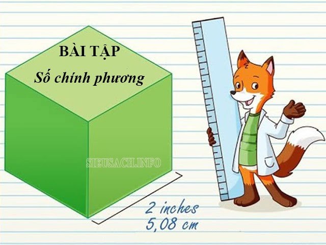 Một số dạng bài tập số chính phương thường gặp