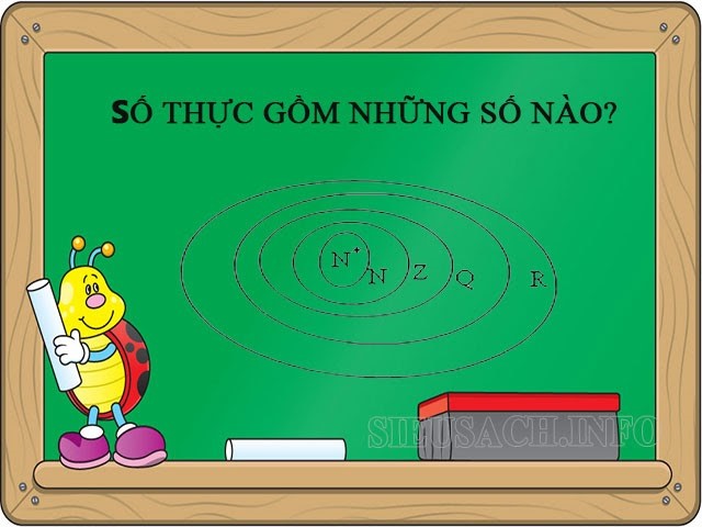 Số thực bao gồm những số nào?