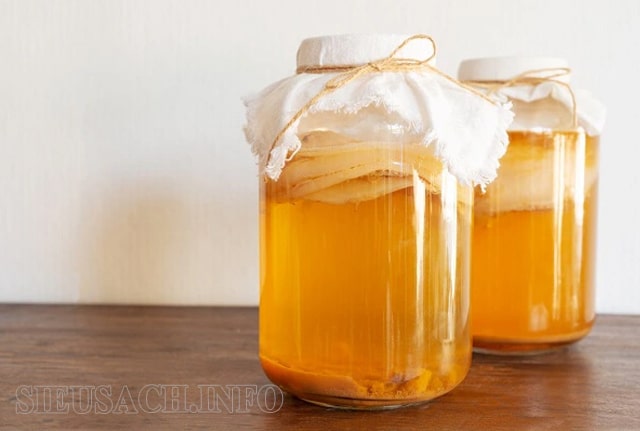 Kiểm tra độ lên men của Scoby để bảo quản cho hợp lý.