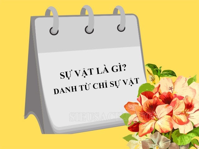 Sự vật là gì? Tìm hiểu về các loại danh từ chỉ sự vật