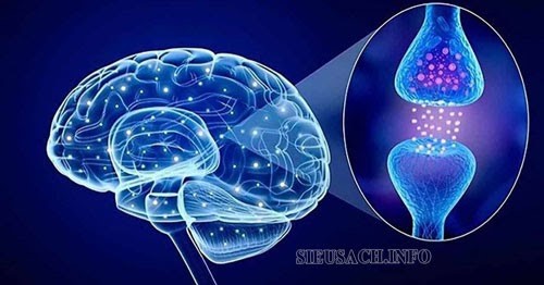 Tìm hiểu về hội chứng Serotonin