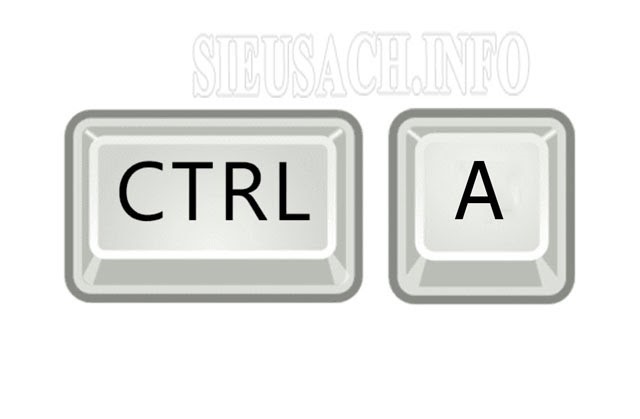 Tổ hợp phím tắt Ctrl + A