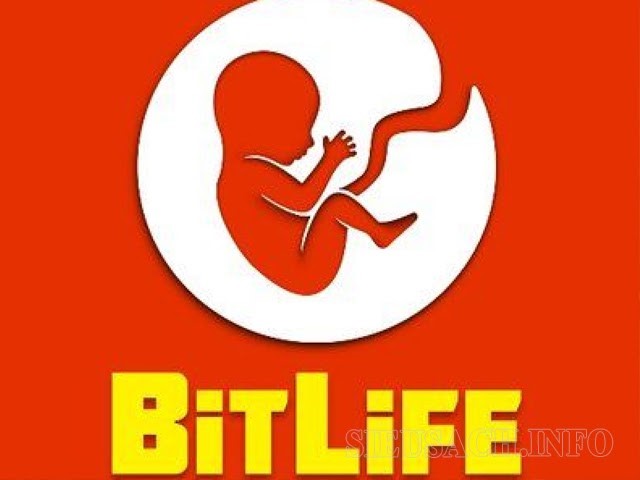 Tựa game Bitlife