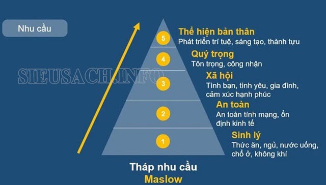 Tháp nhu cầu của Maslow là gì?