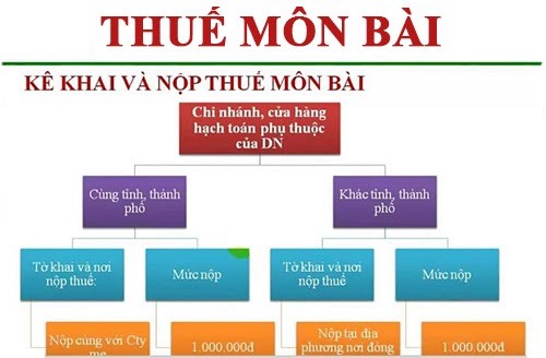 Thuế môn bài phân chia các nhánh 