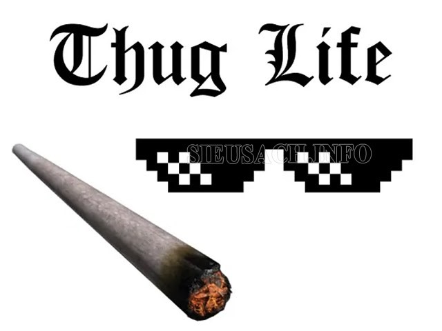 Thug life thường được sử dụng trong hoàn cảnh nào?