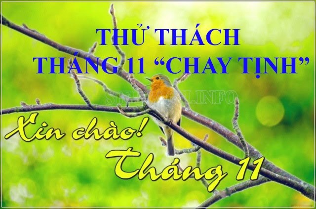 Trào lưu thử thách tháng 11 “chay tịnh”