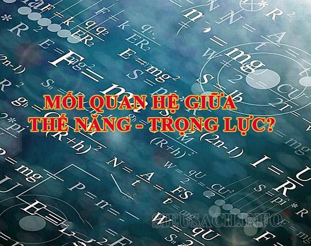 Trọng lực và thế năng có mối liên quan gì đến nhau không?