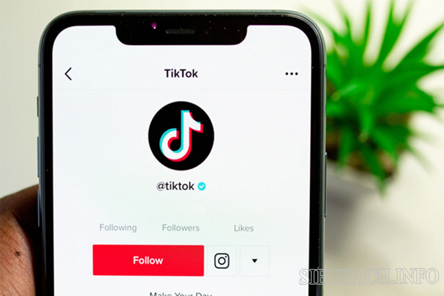 Acc role trên Tiktok là tài khoản với mục đích đóng vai một nhân vật nổi tiếng