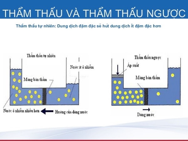 Áp suất thẩm thấu là gì?