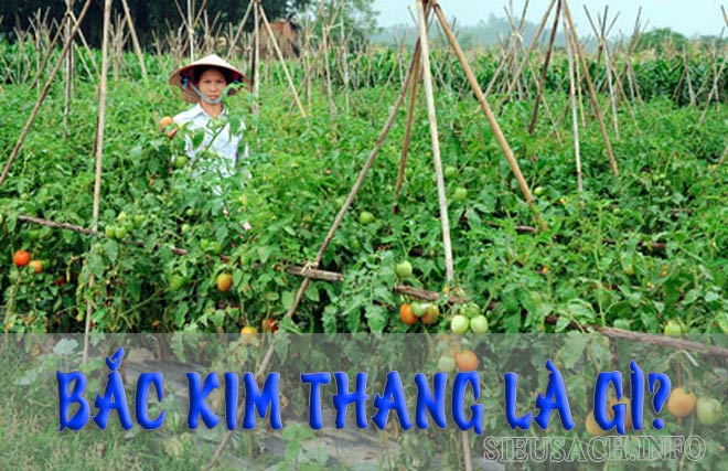 Bắc kim thang cho đến nay vẫn còn nhiều giả thiết khác nhau về cái tên này