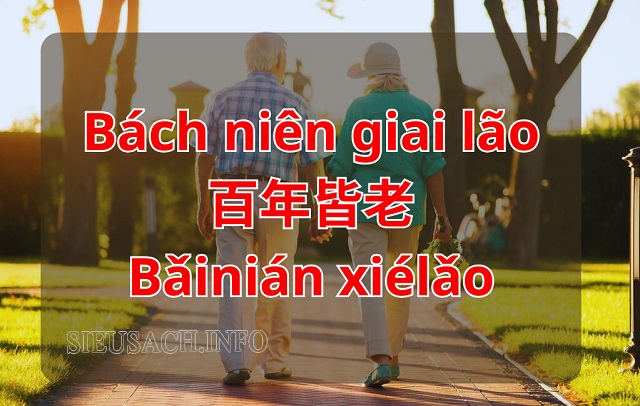 Bách niên giai lão tiếng Trung là 百年皆老