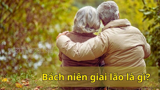 Bách niên giai lão là chúc cho đôi vợ chồng sống bên nhau đến trăm tuổi