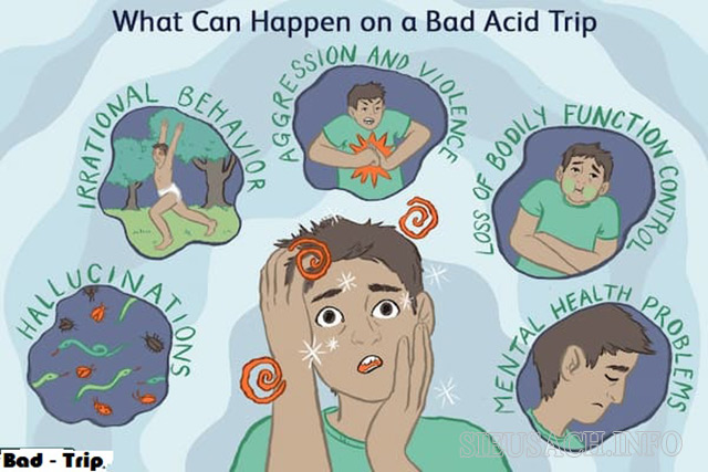 Bad trip có thường bị rơi vào trạng thái lo lắng, hoảng sợ, mất kiểm soát