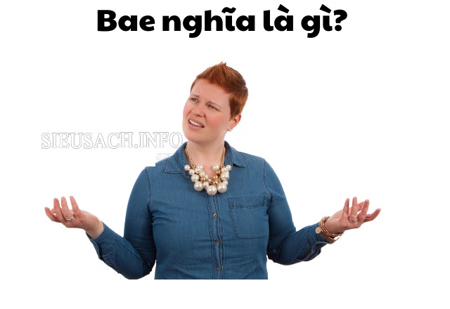 Bae nghĩa là gì?