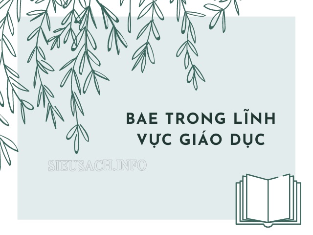 Bae là gì trong lĩnh vực giáo dục