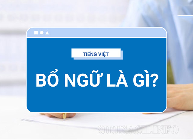 bo-ngu-trong-cau