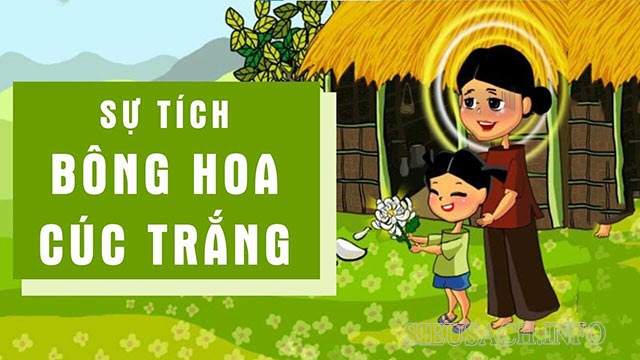 Hình ảnh minh họa sự tích bông hoa cúc trắng