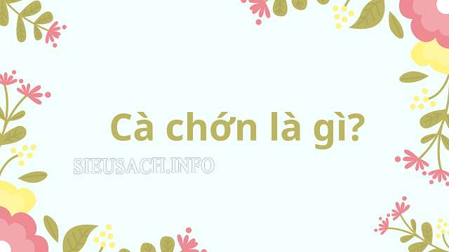 Cà chớn là thái độ đùa giỡn, thiếu nghiêm túc