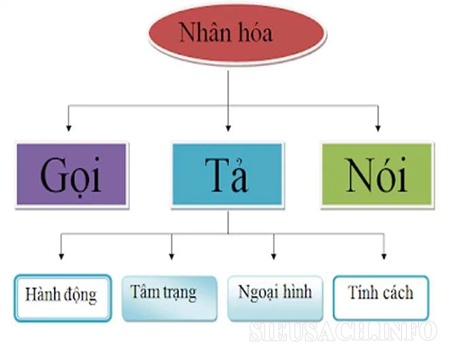 cac-kieu-nhan-hoa