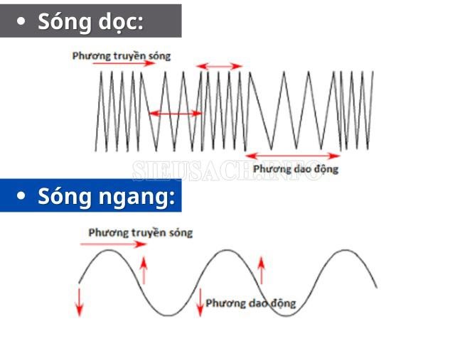 Sóng cơ gồm sóng ngang và sóng dọc