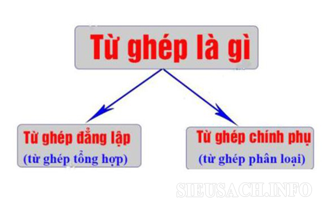 cac-loai-tu-ghep-chinh