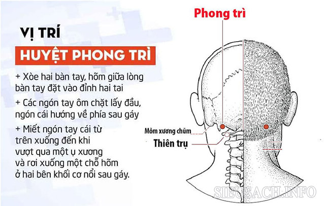 Cách massage vị trí huyệt phong trì