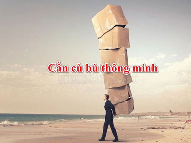 can-cu-bu-thong-minh