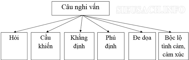 cau-nghi-van