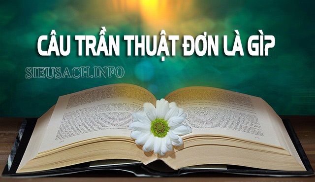 Câu trần thuật đơn là gì? Phân loại câu trần thuật đơn trong tiếng Việt