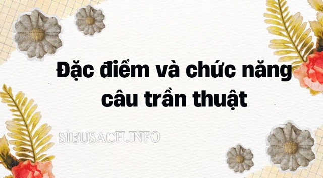 Câu trần thuật có đặc điểm và chức năng đơn giản nhưng quan trọng