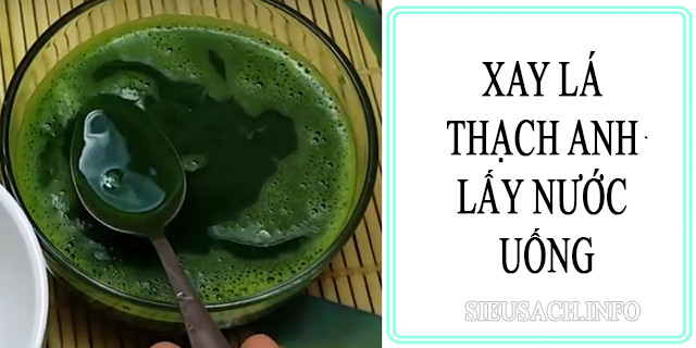 Xay lá thạch anh lấy nước uống mỗi ngày để hỗ trợ điều trị bệnh