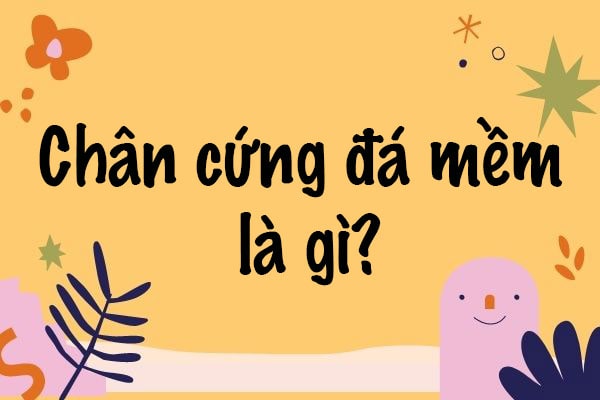 Giải nghĩa câu thành ngữ chân cứng đá mềm