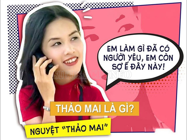 chi-nguyet-thao-mai